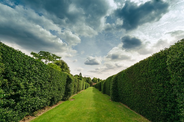 Hatfield Forest - National Trust - SoFA