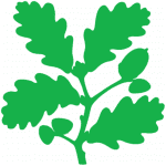 National Trust Logo