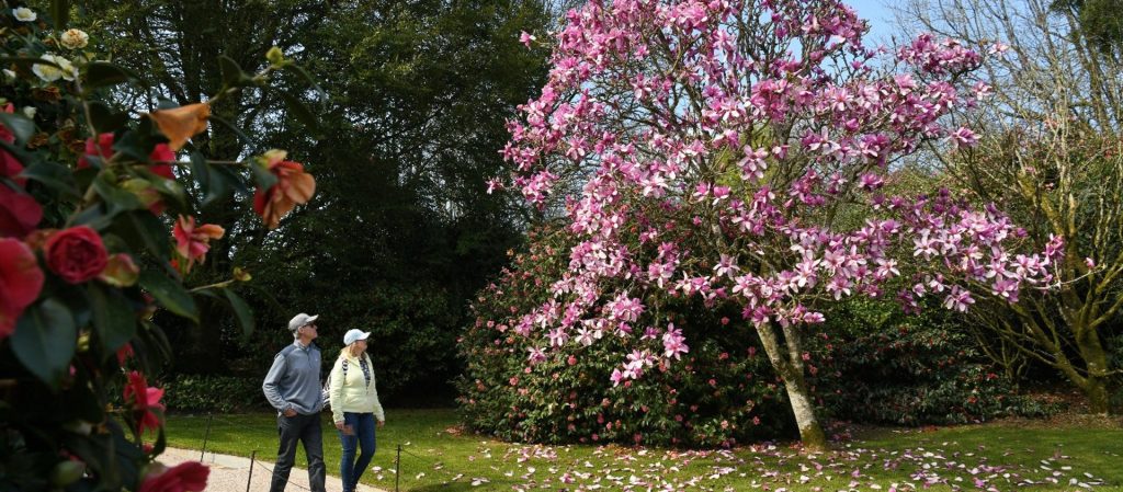 Visitors walking through an NT garden - SoFA - National Trust Open Houses