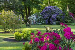 Talk about garden at Rufford Old Hall