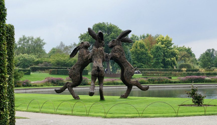 ALL ABOARD THE FLYING CARROTHares at Wisley