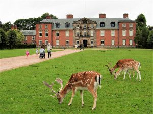 Dunham Massey 2