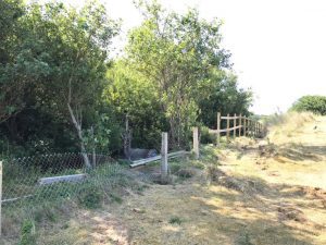 SoFA Coffee Morning wicks lake