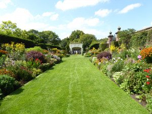 Double herbaceous border