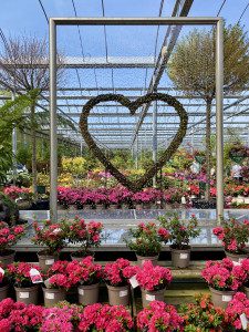 Barton Grange Garden Centre