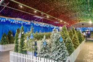 Christmas at Barton Grange